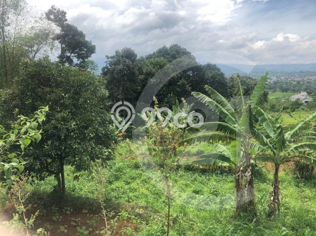 FOR SALE! Pabrik di Bogor Barat Bogor, LT 70000m2, LB 40000m2 FOR SALE! Pabrik di Bogor Barat Bogor, LT 70000m2, LB 40000m2