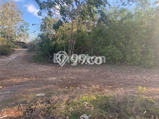 Tanah Kavling Dijual di Badung dengan Spesifikasi 1900m2 Tanah Kavling Dijual di Badung dengan Spesifikasi 1900m2