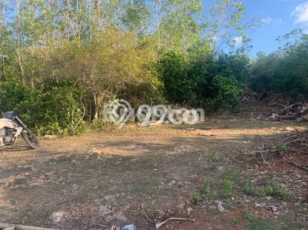 Tanah Kavling Dijual di Badung dengan Spesifikasi 1900m2 Tanah Kavling Dijual di Badung dengan Spesifikasi 1900m2