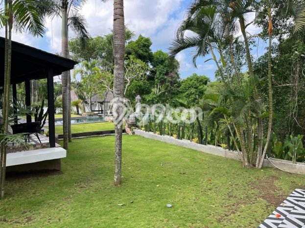 HARGA MENARIK! Vila di Canggu, Luas 2340m2m², Lokasi Premium dengan jalan bagus HARGA MENARIK! Vila di Canggu, Luas 2340m2m², Lokasi Premium dengan jalan bagus