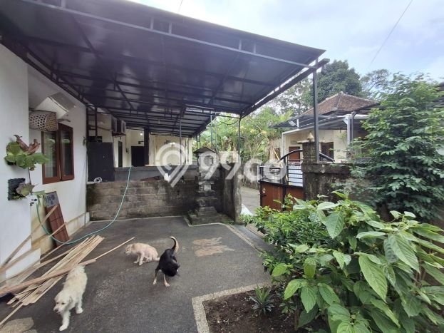 Rumah Strategis , Badung, LT 84m2m² Bangunan 60m2m² Rumah Strategis , Badung, LT 84m2m² Bangunan 60m2m²