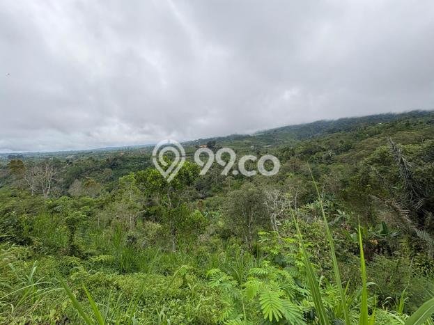 Dijual Tanah di Badung, Luas 11600m2 SHM Dijual Tanah di Badung, Luas 11600m2 SHM