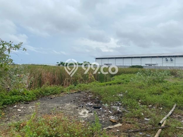 Tanah untuk Dijual Lokasi Kosambi, Tangerang Luas 5000m2 SHM Tanah untuk Dijual Lokasi Kosambi, Tangerang Luas 5000m2 SHM