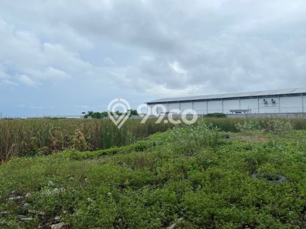 Untuk Disewa Tanah di Kosambi Luas 5000m2 SHM Untuk Disewa Tanah di Kosambi Luas 5000m2 SHM