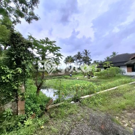 Unit Gudang Dijual di Cicantayan Sukabumi Luas Tanah 5600m2, Luas Bangunan 1500m2 Unit Gudang Dijual di Cicantayan Sukabumi Luas Tanah 5600m2, Luas Bangunan 1500m2