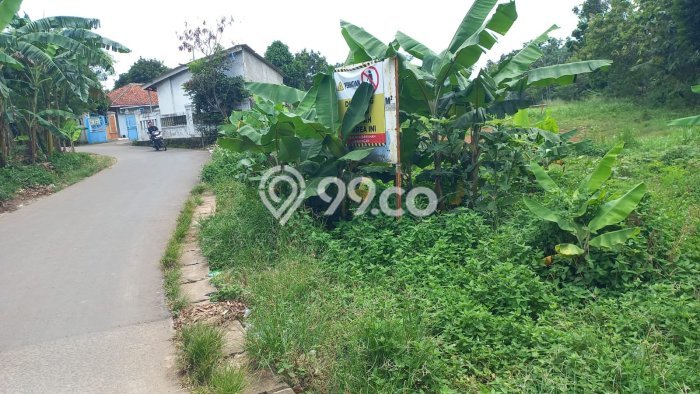 Tanah Kavling di Cisauk Dijual dengan Luas 4000m2 Tanah Kavling di Cisauk Dijual dengan Luas 4000m2