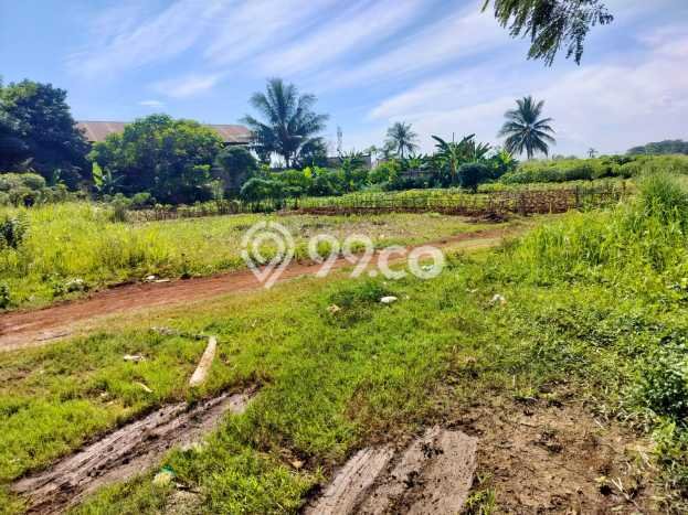 Lahan Dijual Lokasi Cisauk, Tangerang dengan Luas Tanah 46000m2 dan Status AJB Lahan Dijual Lokasi Cisauk, Tangerang dengan Luas Tanah 46000m2 dan Status AJB
