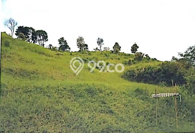 Kavling Tanah di Ciracap Dijual Luas 5.821265e+06m2 Legalitas - Kavling Tanah di Ciracap Dijual Luas 5.821265e+06m2 Legalitas -