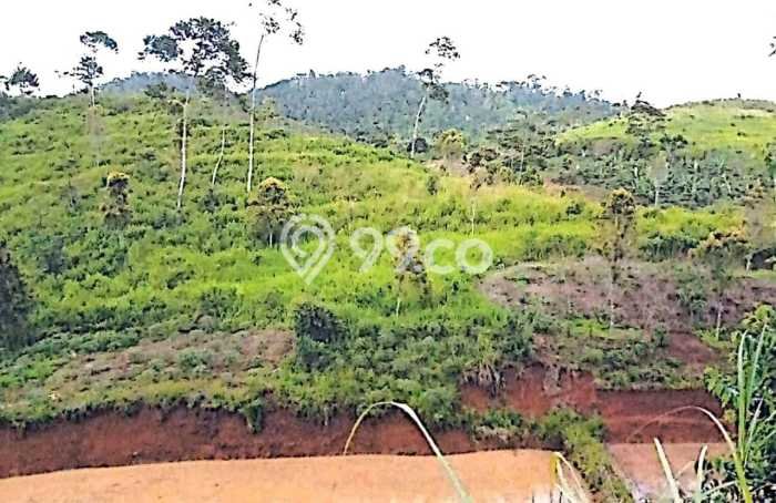 Kavling Tanah di Ciracap Dijual Luas 5.821265e+06m2 Legalitas - Kavling Tanah di Ciracap Dijual Luas 5.821265e+06m2 Legalitas -