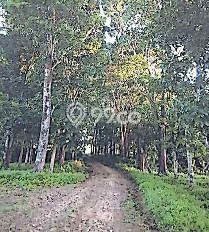 Tanah Komersial Dijual di Ciemas Sukabumi 6.1224e+06m2 Tanah Komersial Dijual di Ciemas Sukabumi 6.1224e+06m2