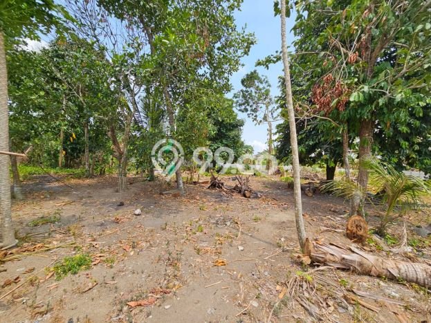 Lahan Kosong Dijual di Bukit Intan, Pangkal Pinang, Luas 2974m2 Area Strategis Lahan Kosong Dijual di Bukit Intan, Pangkal Pinang, Luas 2974m2 Area Strategis