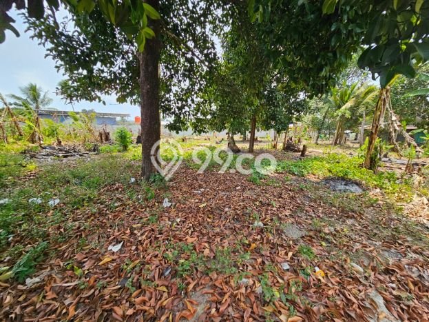 Lahan Kosong Dijual di Bukit Intan, Pangkal Pinang, Luas 2974m2 Area Strategis Lahan Kosong Dijual di Bukit Intan, Pangkal Pinang, Luas 2974m2 Area Strategis