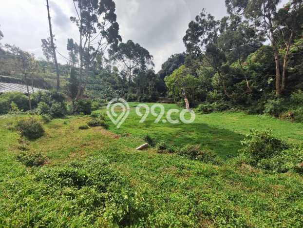 Tanah Dijual Lokasi Lembang, Bandung Barat Luas 25687m2 Legalitas Aman Tanah Dijual Lokasi Lembang, Bandung Barat Luas 25687m2 Legalitas Aman
