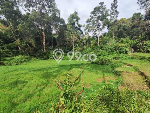 Tanah Dijual Lokasi Lembang, Bandung Barat Luas 25687m2 Legalitas Aman Tanah Dijual Lokasi Lembang, Bandung Barat Luas 25687m2 Legalitas Aman