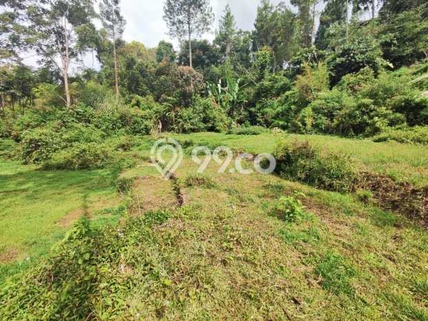 Tanah Dijual Lokasi Lembang, Bandung Barat Luas 25687m2 Legalitas Aman Tanah Dijual Lokasi Lembang, Bandung Barat Luas 25687m2 Legalitas Aman