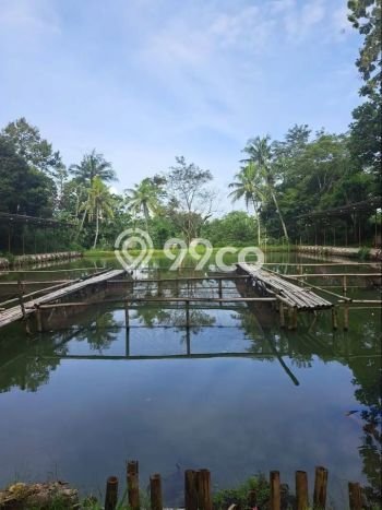 Tanah Kawasan Setu, Luas 7374m², Jalur Strategis Tanah Kawasan Setu, Luas 7374m², Jalur Strategis