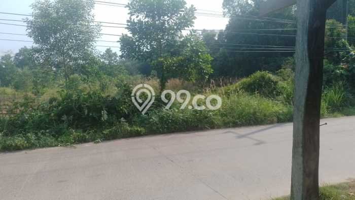 Tanah Dijual Lokasi Parung Panjang Bogor SHM Tanah Dijual Lokasi Parung Panjang Bogor SHM