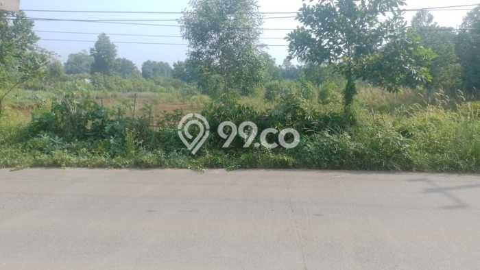 Tanah Dijual Lokasi Parung Panjang Bogor SHM Tanah Dijual Lokasi Parung Panjang Bogor SHM