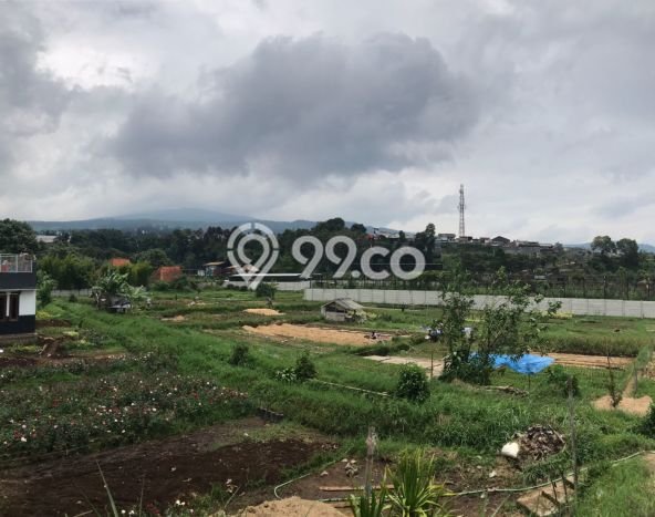 Tanah di Parongpong, Luas 1739m², Akses Mudah, Area Berkembang Tanah di Parongpong, Luas 1739m², Akses Mudah, Area Berkembang