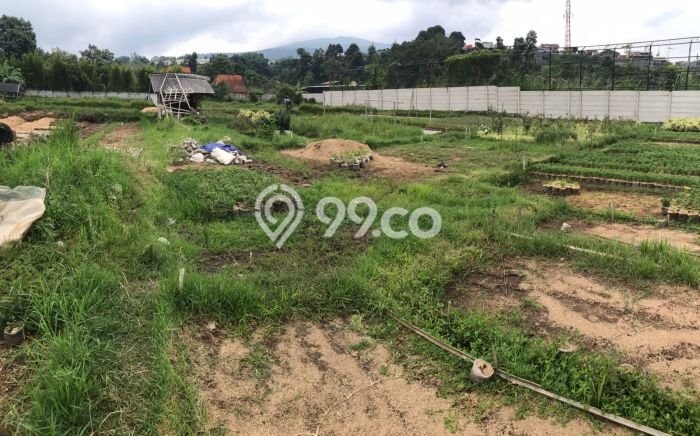 Tanah di Parongpong, Luas 1739m², Akses Mudah, Area Berkembang Tanah di Parongpong, Luas 1739m², Akses Mudah, Area Berkembang