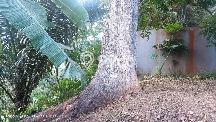LOKASI STRATEGIS! Tanah di Dago, Luas 368m², Pinggir Jalan Utama LOKASI STRATEGIS! Tanah di Dago, Luas 368m², Pinggir Jalan Utama
