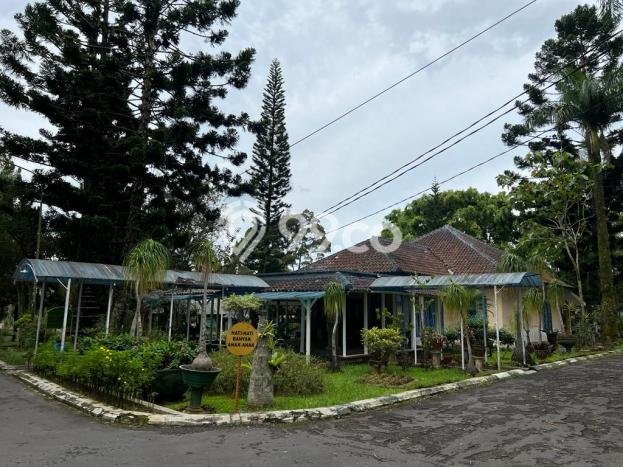 Best Deal Hunian Premium Ideal dan Luas di Cipanas, Cianjur Best Deal Hunian Premium Ideal dan Luas di Cipanas, Cianjur
