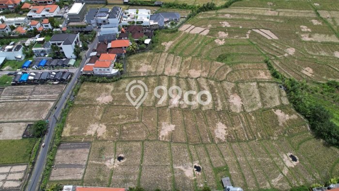 Dijual Tanah di Badung, Luas 3300m2 SHM Dijual Tanah di Badung, Luas 3300m2 SHM