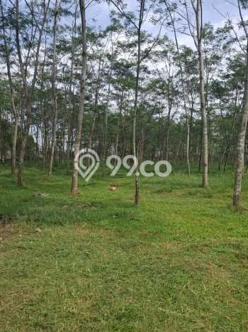 Kavling Tanah untuk Dijual di Gede Bage, Bandung, Luas 38064m2 Kavling Tanah untuk Dijual di Gede Bage, Bandung, Luas 38064m2