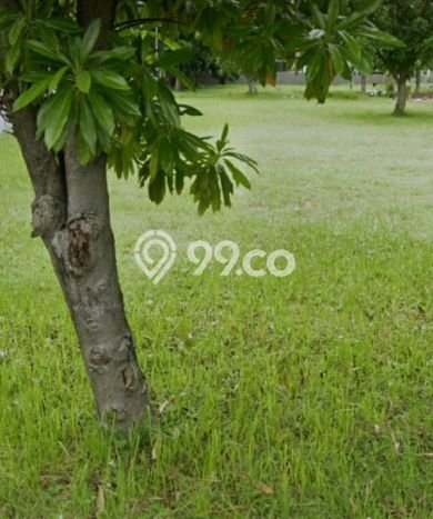 Tanah Kavling Dijual di Surabaya dengan Spesifikasi 700m2 Tanah Kavling Dijual di Surabaya dengan Spesifikasi 700m2