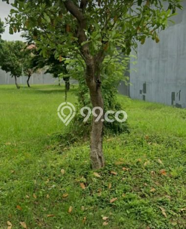 Tanah Kavling Dijual di Surabaya dengan Spesifikasi 700m2 Tanah Kavling Dijual di Surabaya dengan Spesifikasi 700m2