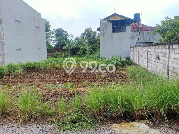 Tanah Kavling di Ciomas Dijual dengan Luas 300m2 Tanah Kavling di Ciomas Dijual dengan Luas 300m2