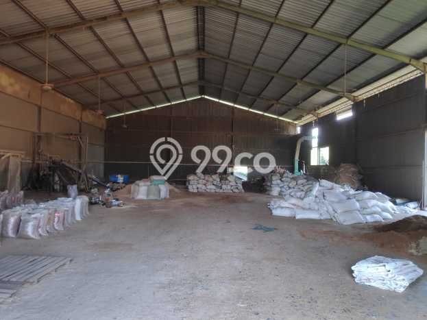 Gudang Bagus Dijual di Cirebon Barat Cirebon Strategis Cocok untuk Kembangkan Bisnis Gudang Bagus Dijual di Cirebon Barat Cirebon Strategis Cocok untuk Kembangkan Bisnis