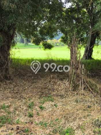 Dijual Tanah 84m2 di Sentul City, Bogor Dijual Tanah 84m2 di Sentul City, Bogor