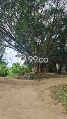Tanah Dijual Lokasi Gianyar Gianyar SHM Tanah Dijual Lokasi Gianyar Gianyar SHM