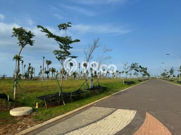 Tanah Kavling Dijual di Pantai Indah Kapuk 2, Jakarta Utara dengan Luas Tanah 200m2 Tanah Kavling Dijual di Pantai Indah Kapuk 2, Jakarta Utara dengan Luas Tanah 200m2