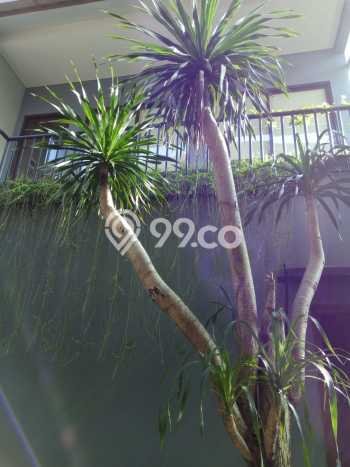 Rumah Elit Modern Siap Huni di BSD De Park Tangerang Rumah Elit Modern Siap Huni di BSD De Park Tangerang