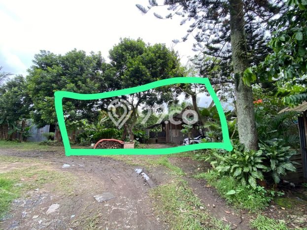 Lahan Kosong Disewakan di Rumpin, Bogor, Luas 800m2 Lahan Kosong Disewakan di Rumpin, Bogor, Luas 800m2