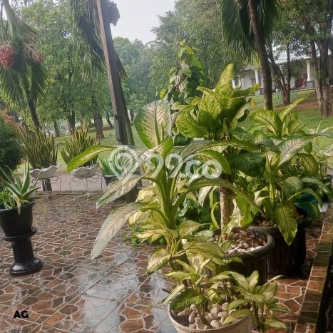Ready to Use! Premium House LT 631m2 Desain Elegan di Kota Wisata Ready to Use! Premium House LT 631m2 Desain Elegan di Kota Wisata