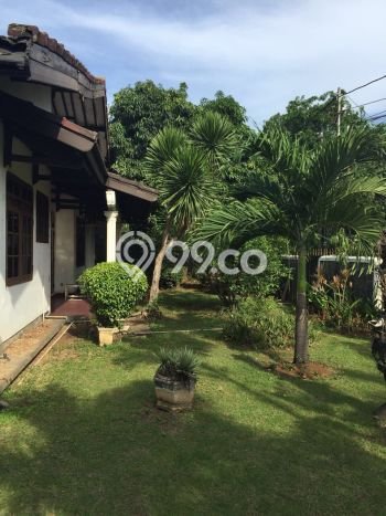 Rumah Elit Modern Tanpa Renovasi di Kayu Putih Jakarta Timur Rumah Elit Modern Tanpa Renovasi di Kayu Putih Jakarta Timur