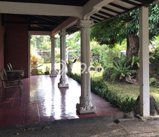 Rumah Elit Modern Tanpa Renovasi di Kayu Putih Jakarta Timur Rumah Elit Modern Tanpa Renovasi di Kayu Putih Jakarta Timur