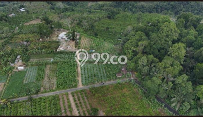 Tanah Kavling Dijual di Tabanan dengan Spesifikasi 65073m2 Tanah Kavling Dijual di Tabanan dengan Spesifikasi 65073m2