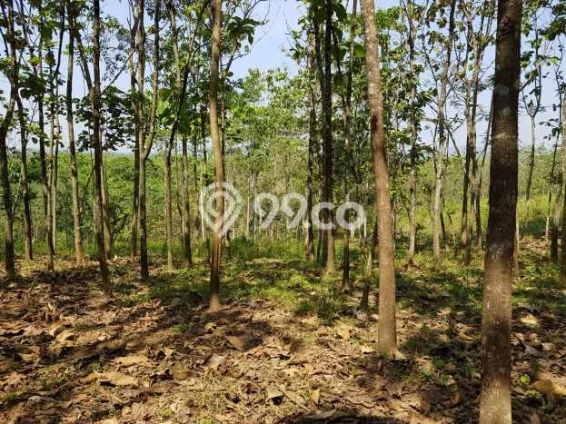Kavling Tanah di Cibogo Dijual Luas 1.5e+06m2 Legalitas - Kavling Tanah di Cibogo Dijual Luas 1.5e+06m2 Legalitas -
