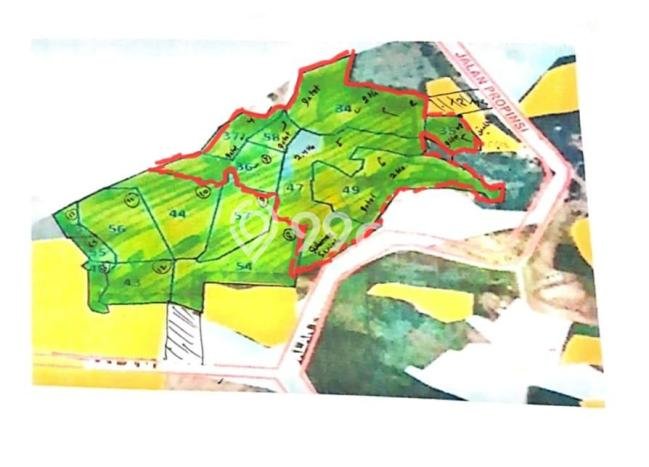 Jarang Ada! Tanah di Maja Punya Luas 100000m2 SHM Jarang Ada! Tanah di Maja Punya Luas 100000m2 SHM