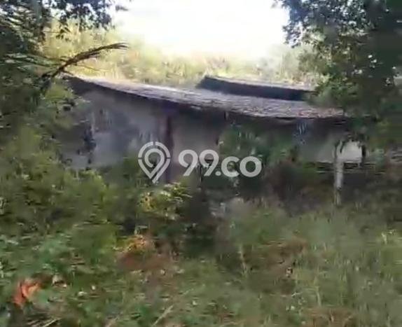 Untuk Dijual Tanah 35000m2 di Pasar Kemis, Tangerang Untuk Dijual Tanah 35000m2 di Pasar Kemis, Tangerang