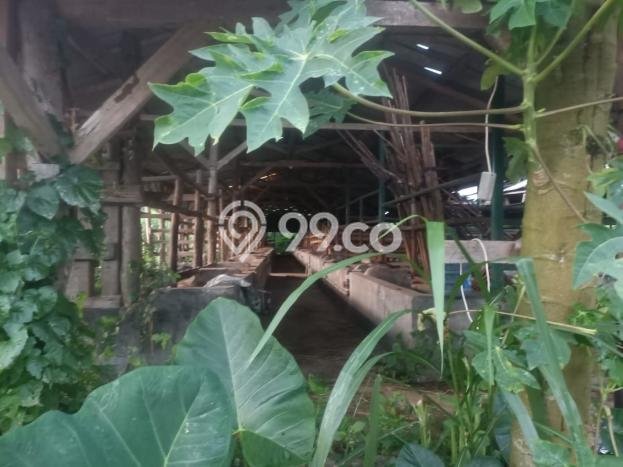 Tanah Kavling Dijual di Jalan Cagak, Subang dengan Luas Tanah 50000m2 Tanah Kavling Dijual di Jalan Cagak, Subang dengan Luas Tanah 50000m2