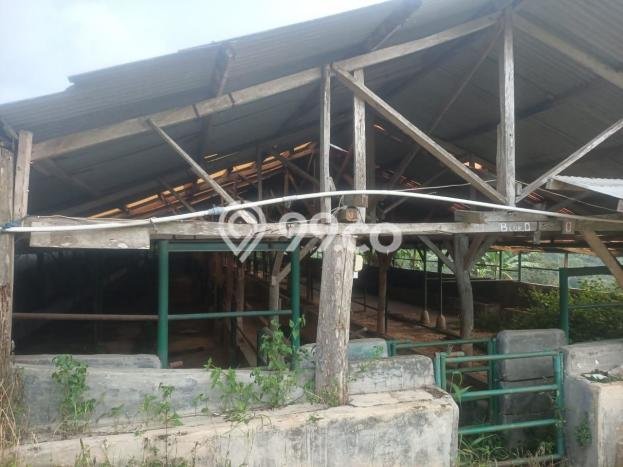 Tanah Kavling Dijual di Jalan Cagak, Subang dengan Luas Tanah 50000m2 Tanah Kavling Dijual di Jalan Cagak, Subang dengan Luas Tanah 50000m2