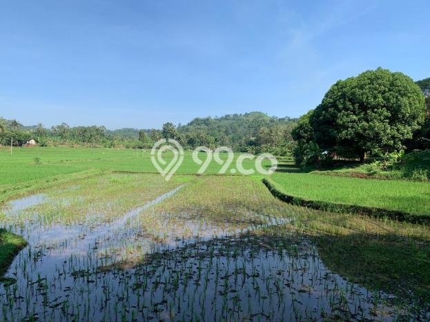 Kavling Tanah Dijual di Cianjur Cianjur Spesifikasi 270000m2 Kavling Tanah Dijual di Cianjur Cianjur Spesifikasi 270000m2