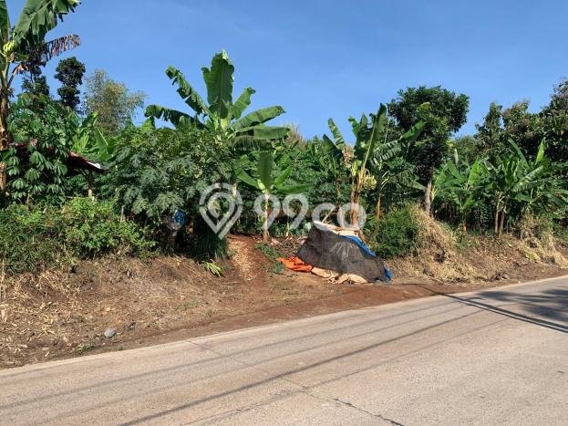 Kavling Tanah Dijual di Cianjur Cianjur Spesifikasi 270000m2 Kavling Tanah Dijual di Cianjur Cianjur Spesifikasi 270000m2