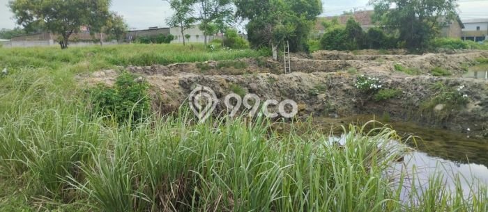 Tanah Kosong Dijual di Serang dengan Area 49927m2 Tanah Kosong Dijual di Serang dengan Area 49927m2
