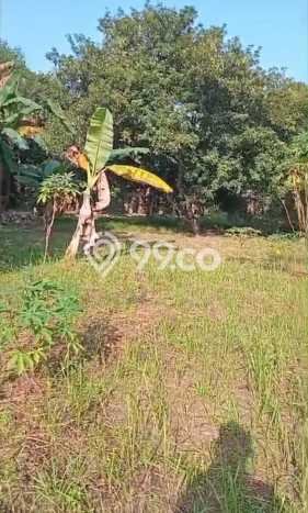 Tanah Kavling Dijual di Bogor dengan Spesifikasi 4232m2 Tanah Kavling Dijual di Bogor dengan Spesifikasi 4232m2